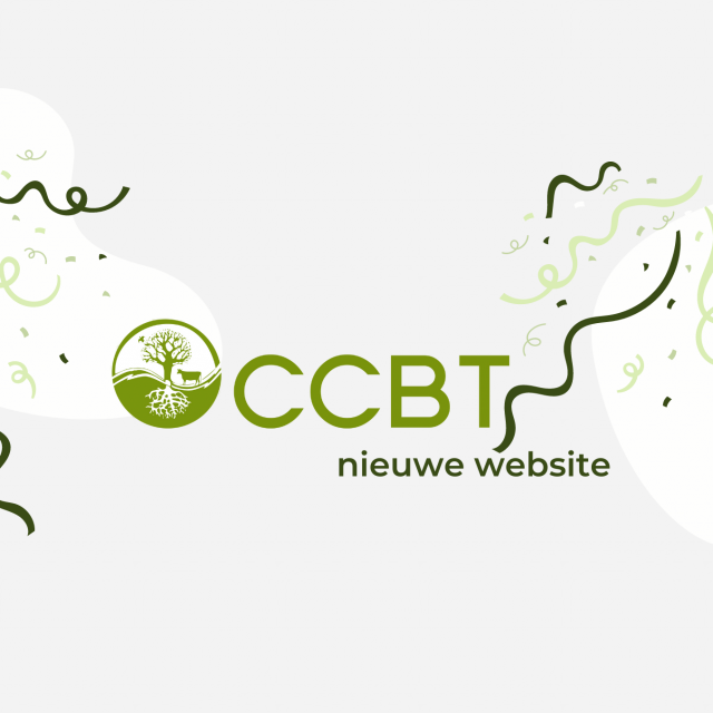 CCBT | ccbt